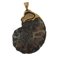 Load image into Gallery viewer, Nautilus Ammonite Fossil Natural Shell Stone 14k Yellow Gold Statement Pendant
